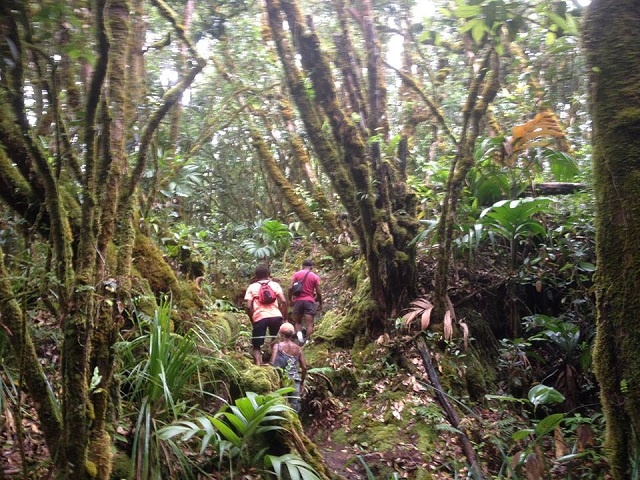 Seychelles National Parks Authority creating official list of island hiking trails