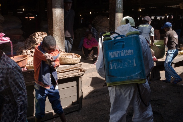 Madagascar says plague outbreak 'under control'