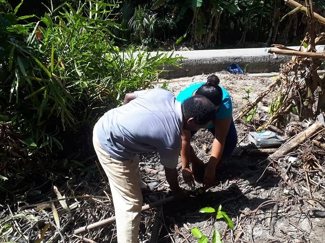 7,500 trees planted on Seychelles’ Praslin Island to prevent erosion, land degradation