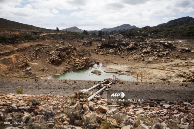 Drought-hit Cape Town should cut down 'alien' trees: study