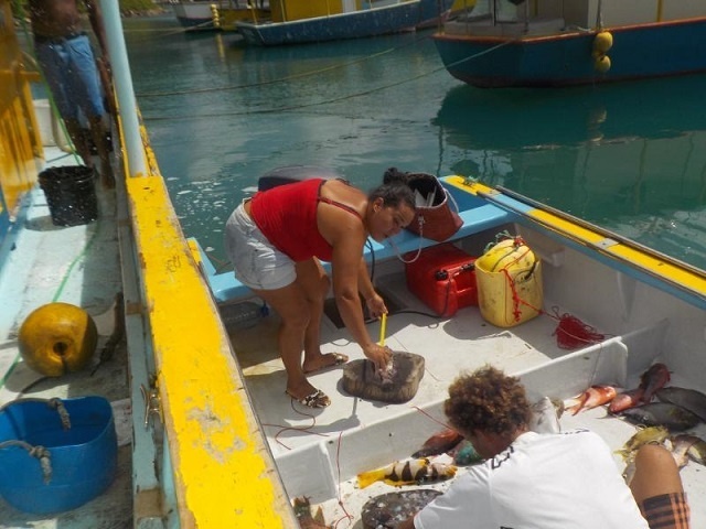 Une communauté de pêcheurs veut des limites sur la taille et la quantité de poissons capturés pour aider les espèces en danger aux Seychelles