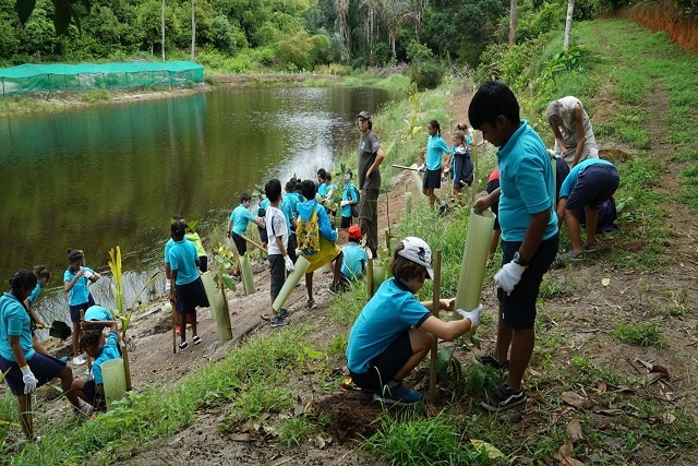 Seychellois school children propagating native trees to help counter climate change effects