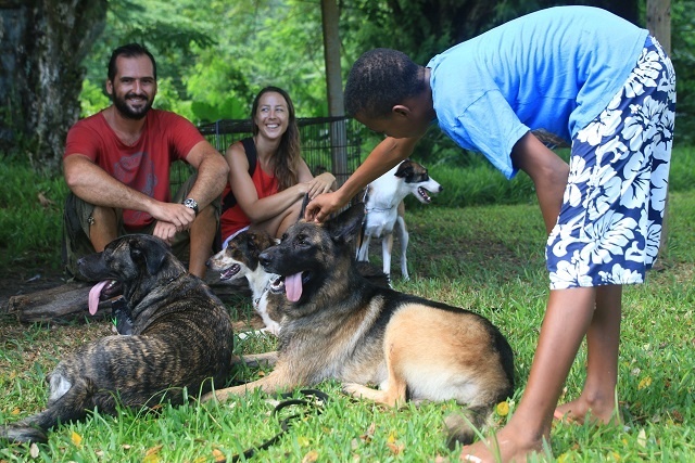 Une nouvelle loi aux Seychelles protège les chiens et cherche à prévenir les animaux errants à partir du mois de septembre