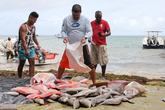 Fisheries Transparency Initiative, aimed at good governance and accountability, now based in Seychelles