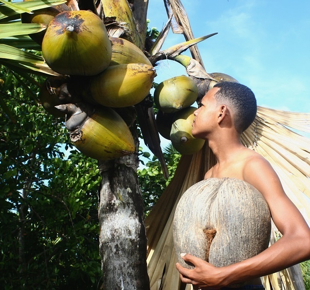 L’UNESCO aide les Seychelles à protéger leurs biens culturels contre la traite