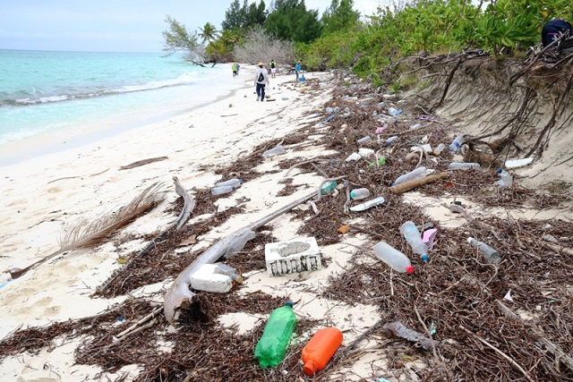 Les responsables de l'environnement aux Seychelles étudient les sources, les filières et les impacts des déchets sur la vie marine