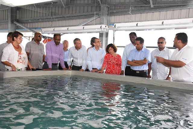 Industrial aquaculture begins in Seychelles as broodstock, acclimation and quarantine facility opens