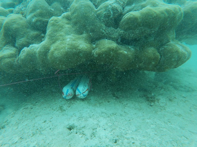 Les Seychelles vont retirer du corail dans un canal obstruant la voie navigable pour les pêcheurs