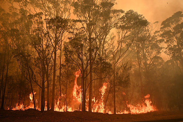 Incendies: Sydney menacée de coupures de courant après la destruction d'installations électriques