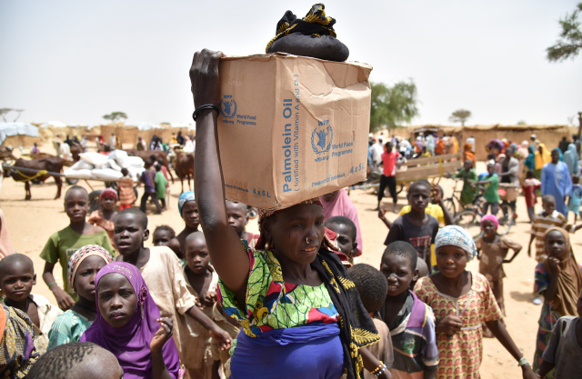 Niger stampede kills 20 at handout for refugees