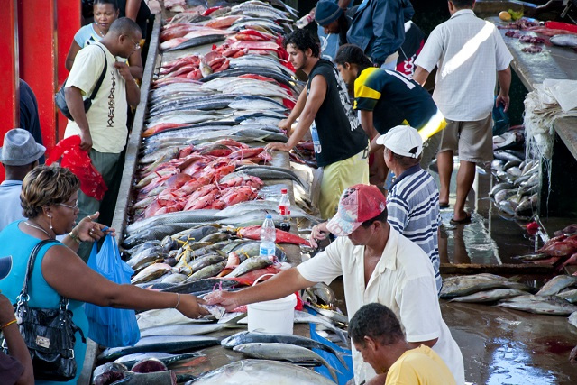 Seychelles to join Fisheries Transparency Initiative, boosting sustainability