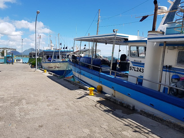 Seychelles' fishermen heading to sea with re-opening of airport, but markets are in flux