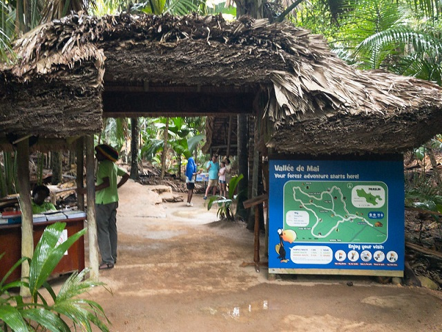 Seychelles' Vallee de Mai reopens doors to visitors with online booking system