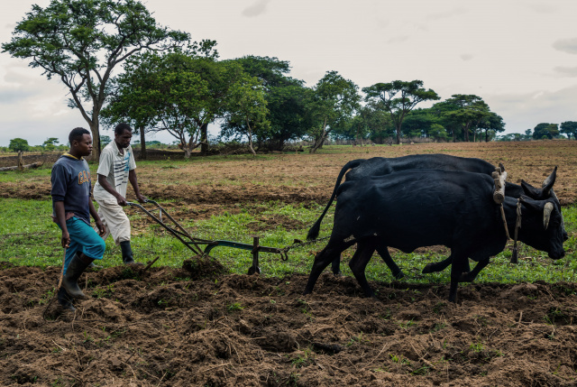 Zimbabwe signs US$3.5 bn compensation deal with white farmers