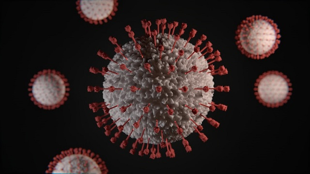 Seychelles back down to only 1 active COVID-19 case; testing capacity ramping up