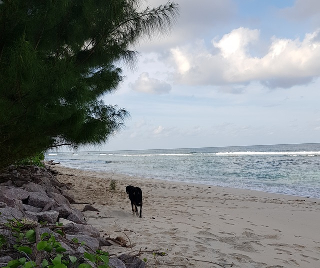 Un nouveau plan s'attaquera aux effets du changement climatique sur la côte nord de l'île principale des Seychelles