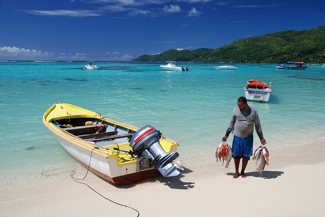 L'industrie de la pêche veut plus de données pour s'assurer que les Seychellois ont toujours du poisson dans leurs assiettes