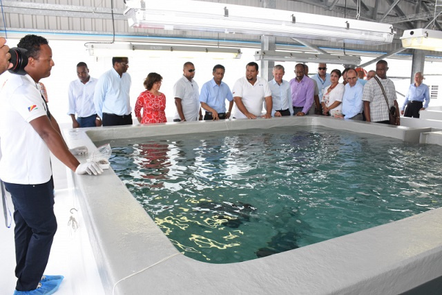 Seychellois can now partner with foreign investors in aquaculture business ventures