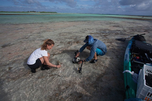 7 ways Save Our Seas is investigating nature in Seychelles