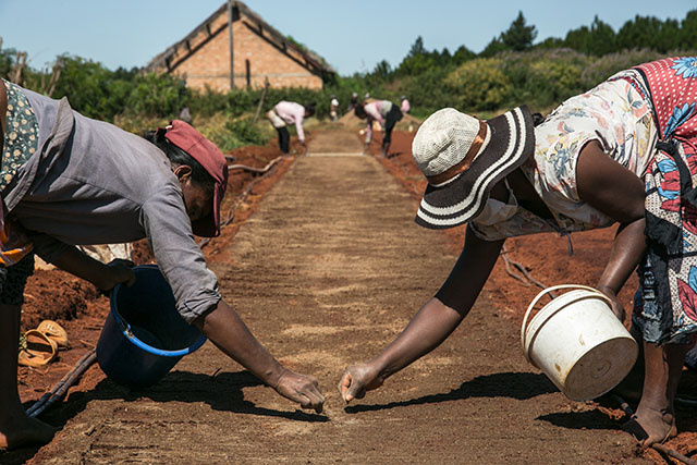 Famine: le PAM alerte sur une crise humanitaire à Madagascar