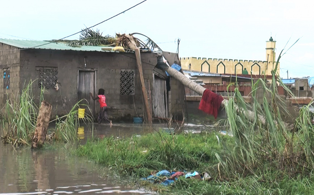 Cyclone Eloise leaves hundreds homeless in Mozambique