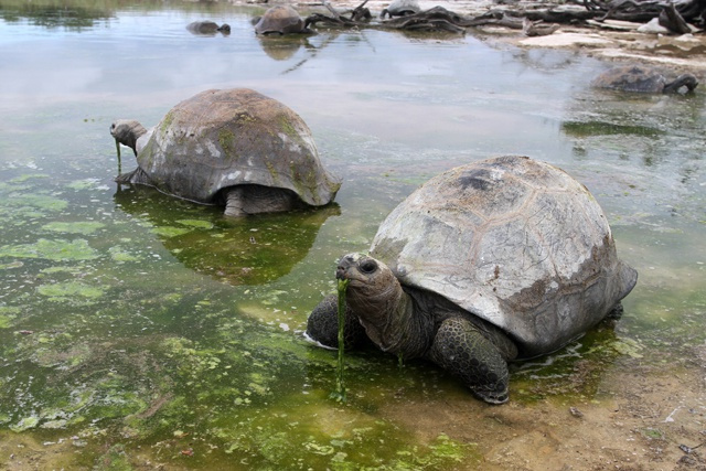 Les Seychelles invitent des diplomates à une excursion sur les îles extérieure en guise de remerciement pour le soutien apporté lors de la pandémie du COVID-19