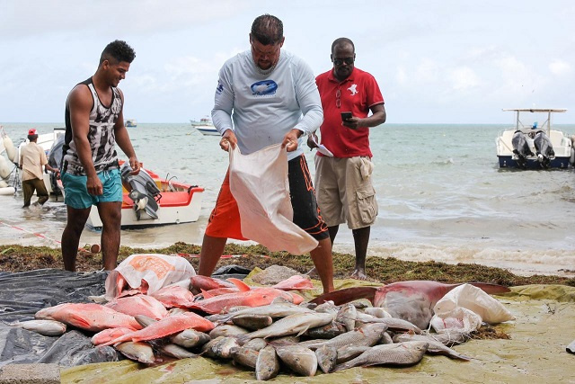 Seychelles' report to Fisheries Transparency Initiative shows fishing access agreements, stock information, catch data