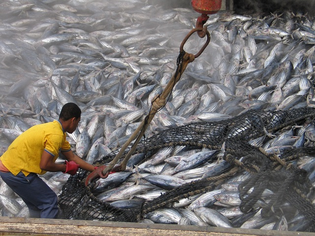 Seychelles Minister for Fisheries disappointed EU hasn't yet paid compensation to seafarers