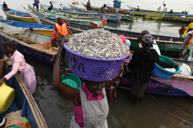 IMF to disburse $410 million in aid to Kenya