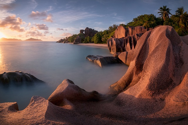 Loving kinship with stray dogs in Seychelles leads to photo calendar fundraiser for animal societies