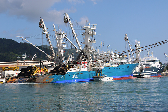 Les senneurs battant pavillon seychellois voient leurs quotas de pêche d'albacore augmenter à 35 800 tonnes