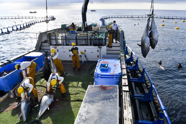 WTO convenes trade ministers to net fisheries deal