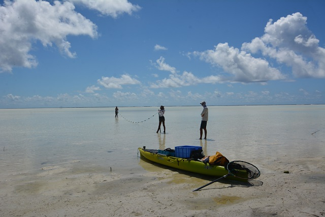 Save Our Seas in Seychelles to continue student-led projects