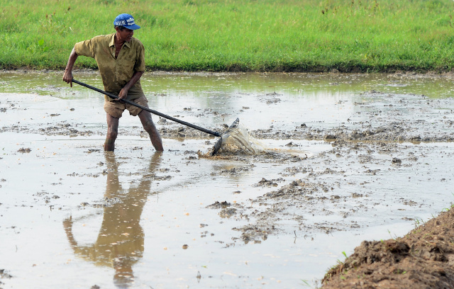 Sri Lanka declares food emergency as forex crisis worsens