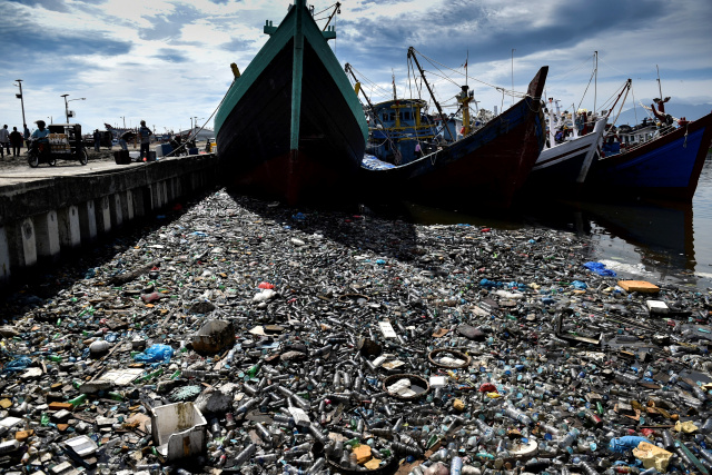 Plastic threatens migratory species in Asia-Pacific: UN