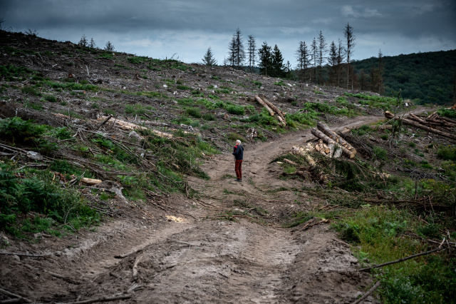 World leaders urged to 'save humanity' at climate summit