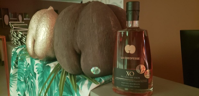 New alcohol made with Seychelles' coco de mer to hit market this year