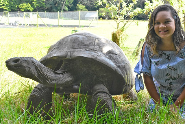 Guinness World Records names 'Jonathan' as world's oldest tortoise ever on 190th birthday