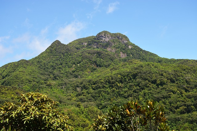 Danish author Steen G. Hansen adds Morne Seychellois National Park to his Seychelles book collection