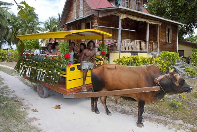 Seychelles has only one ox cart operator left on La Digue – Tradition of the island must be saved, he says