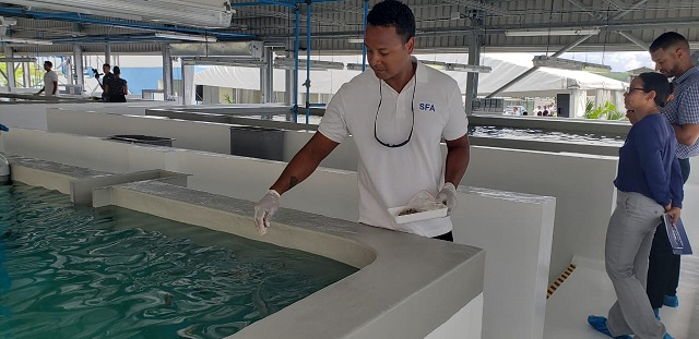 Development Bank of Seychelles seeks sustainable fisheries businesses and NGOs to apply for 'blue' funding