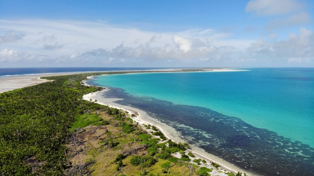 Combien de carbone bleu ont les Seychelles? Des experts locaux travaillent sur le suivi et la sensibilisation