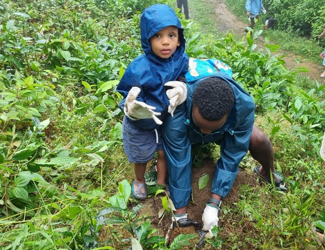 French father and son plant endemic trees in Seychelles to offset carbon footprint for island holiday