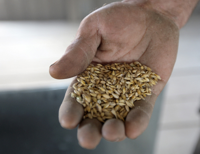 UN urges Ukraine grain release, World Bank pledges extra $12 bn