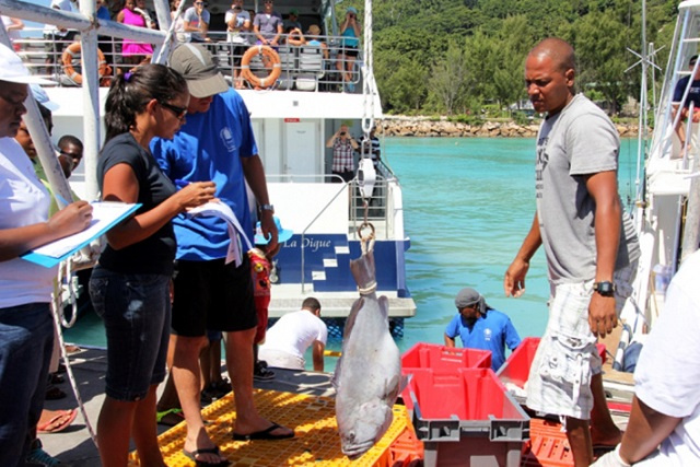 Sport Fishing Seychelles: Sailfish Tournament starts June 11th