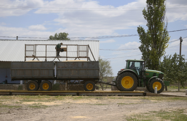 Russia begins shipping grain from occupied Ukraine port