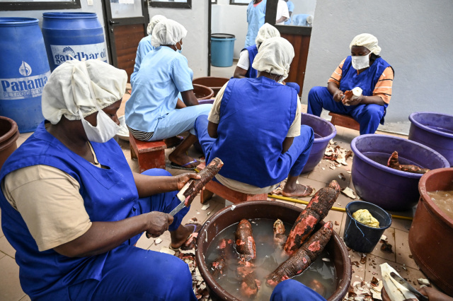 I.Coast eyes cassava for its bread as wheat prices surge