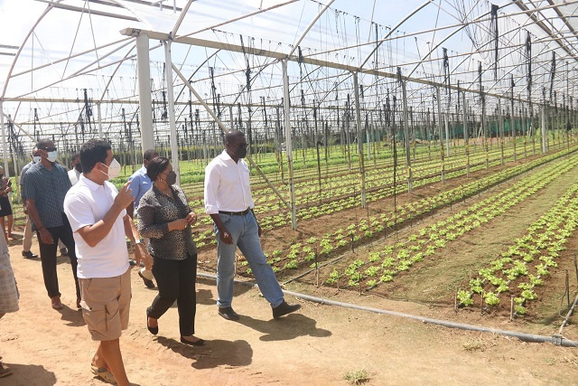 Fonds vert pour le climat : les Seychelles vont rendre l'agriculture plus résiliente au changement climatique