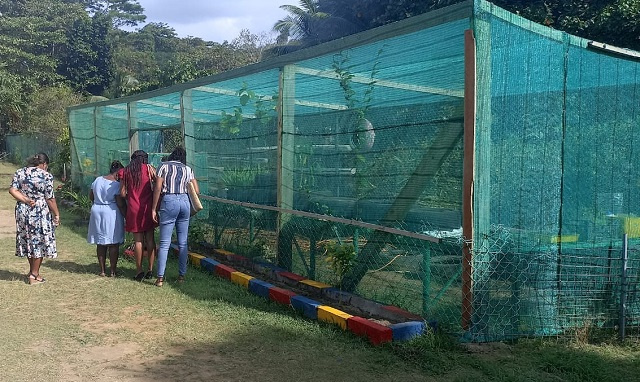 Chevening Alumni scholars from Rodrigues study Seychelles' Blue Economy education