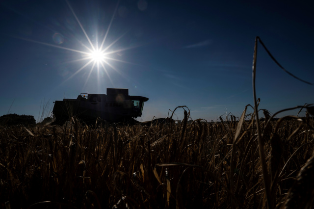 Drought officially declared in several parts of England